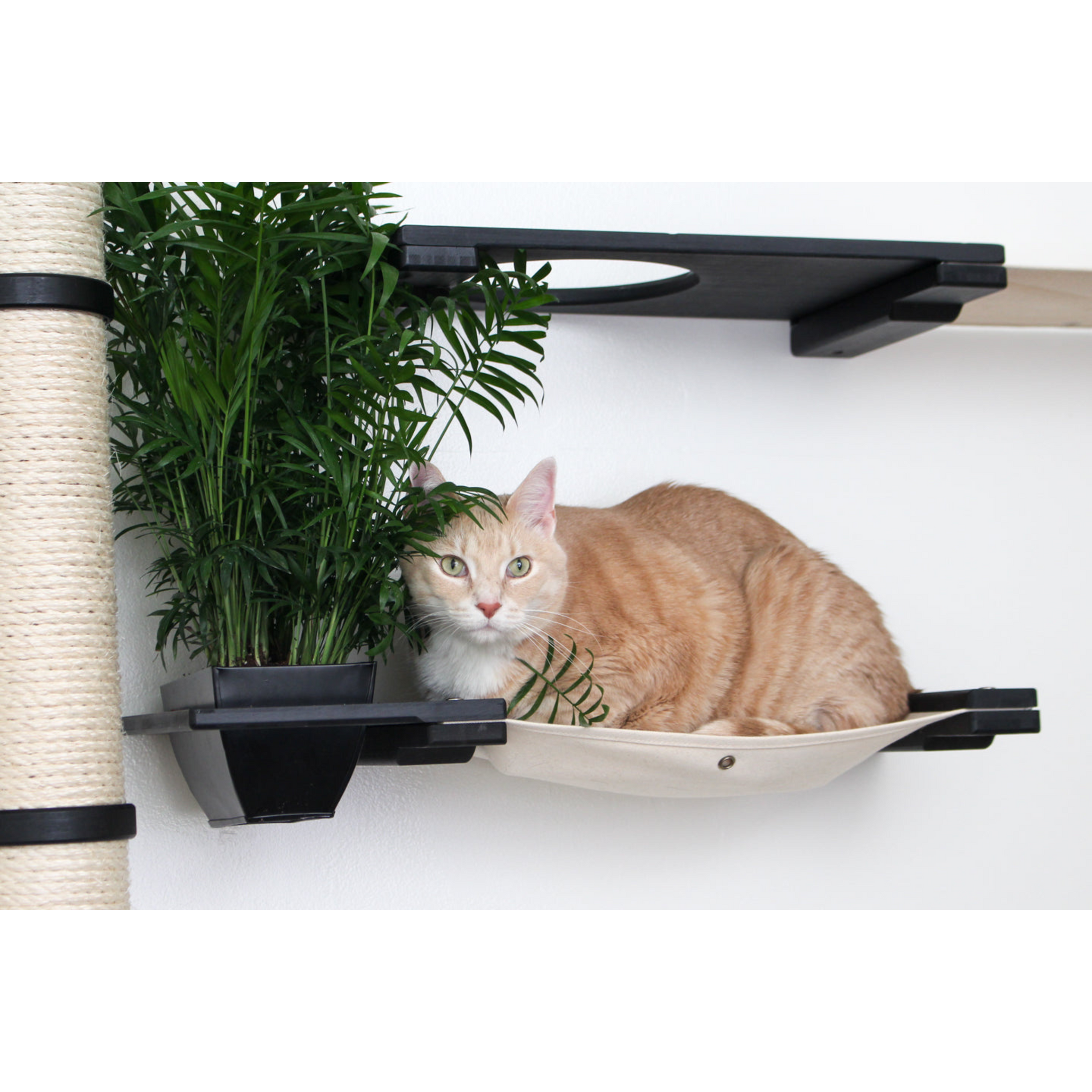 The Gardens Cat Condo (Wall-Mounted Cat Tree) by Catastrophic Creations