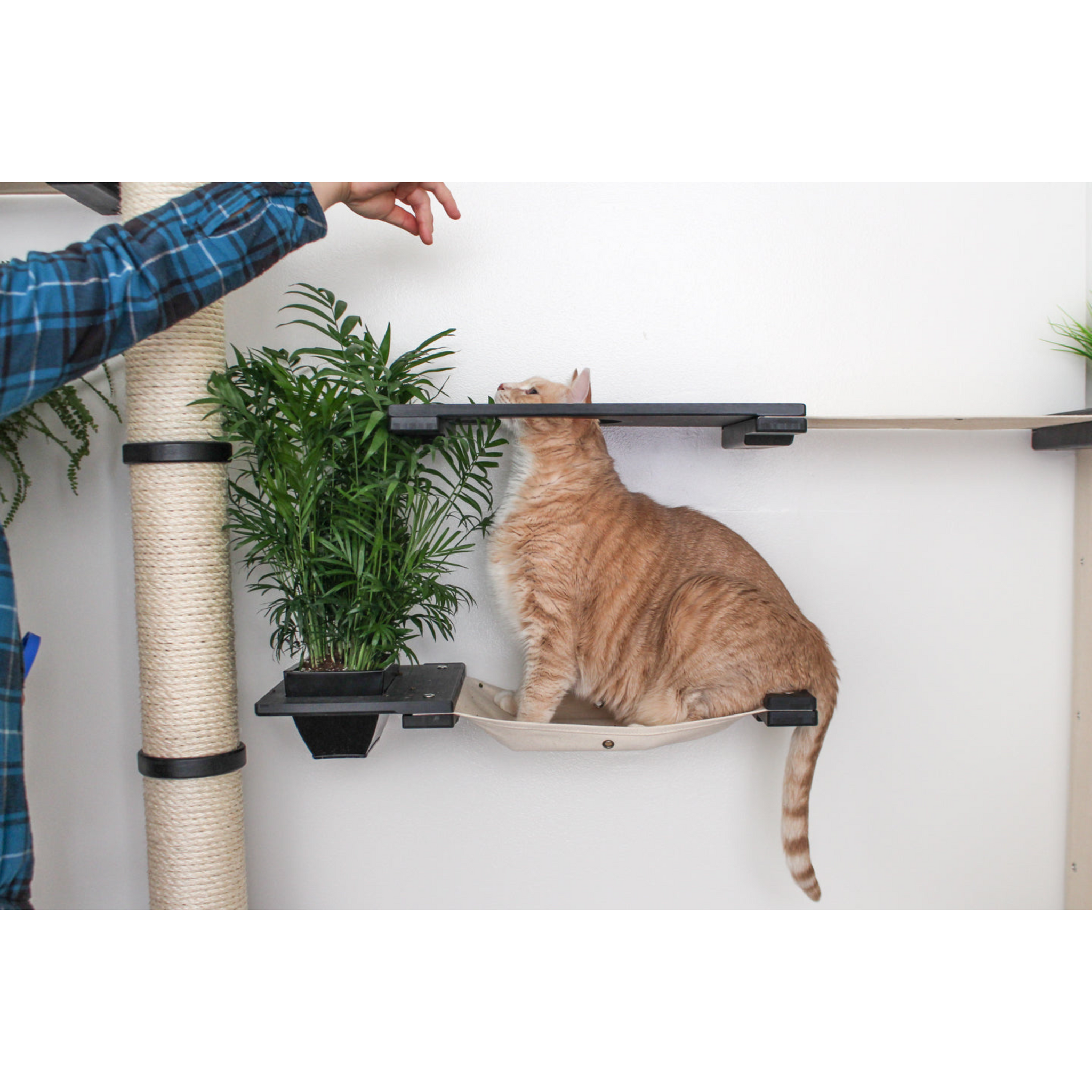 The Gardens Cat Condo (Wall-Mounted Cat Tree) by Catastrophic Creations