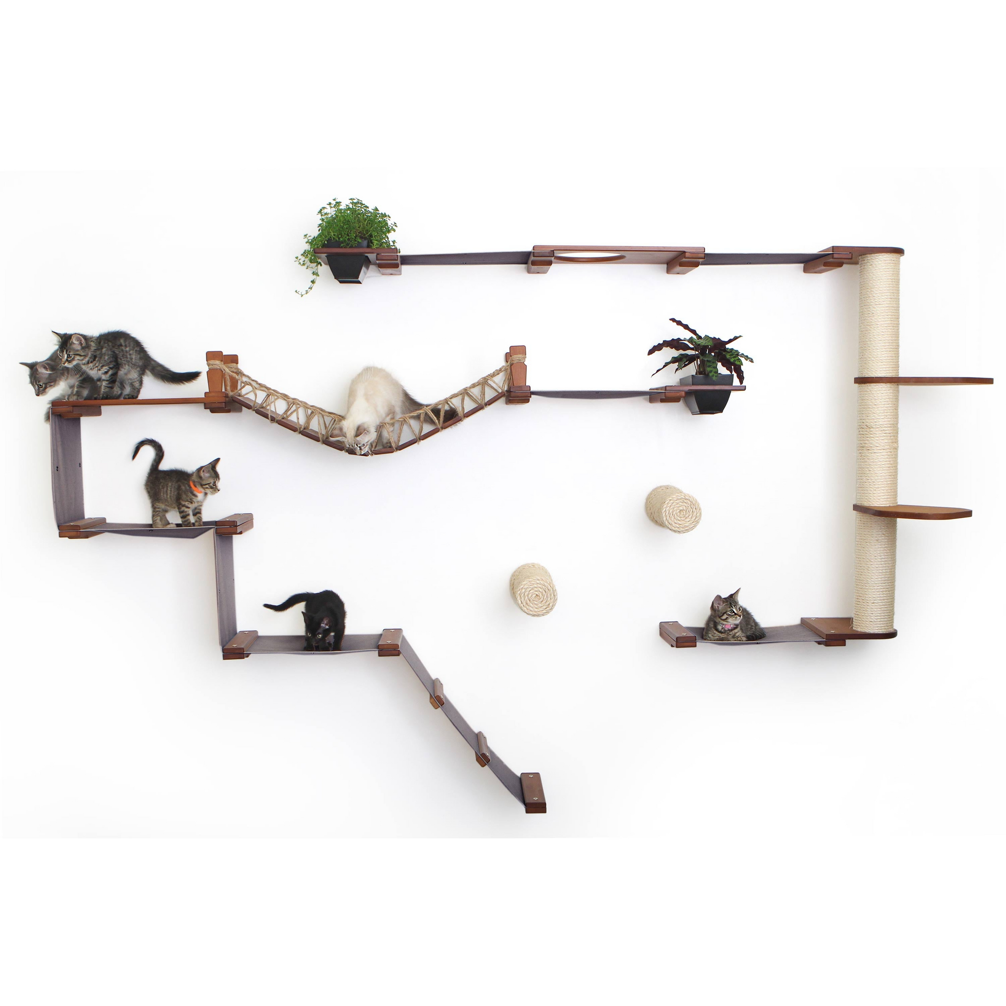The Juggernaut (Wall-Mounted Cat Tree/Condo) by Catastrophic Creations