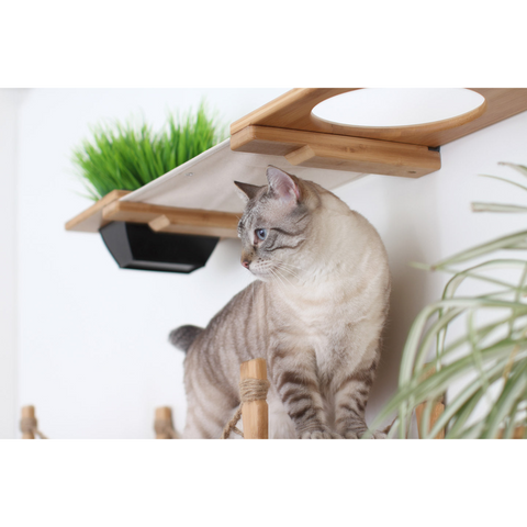 The Juggernaut (Wall-Mounted Cat Tree/Condo) by Catastrophic Creations