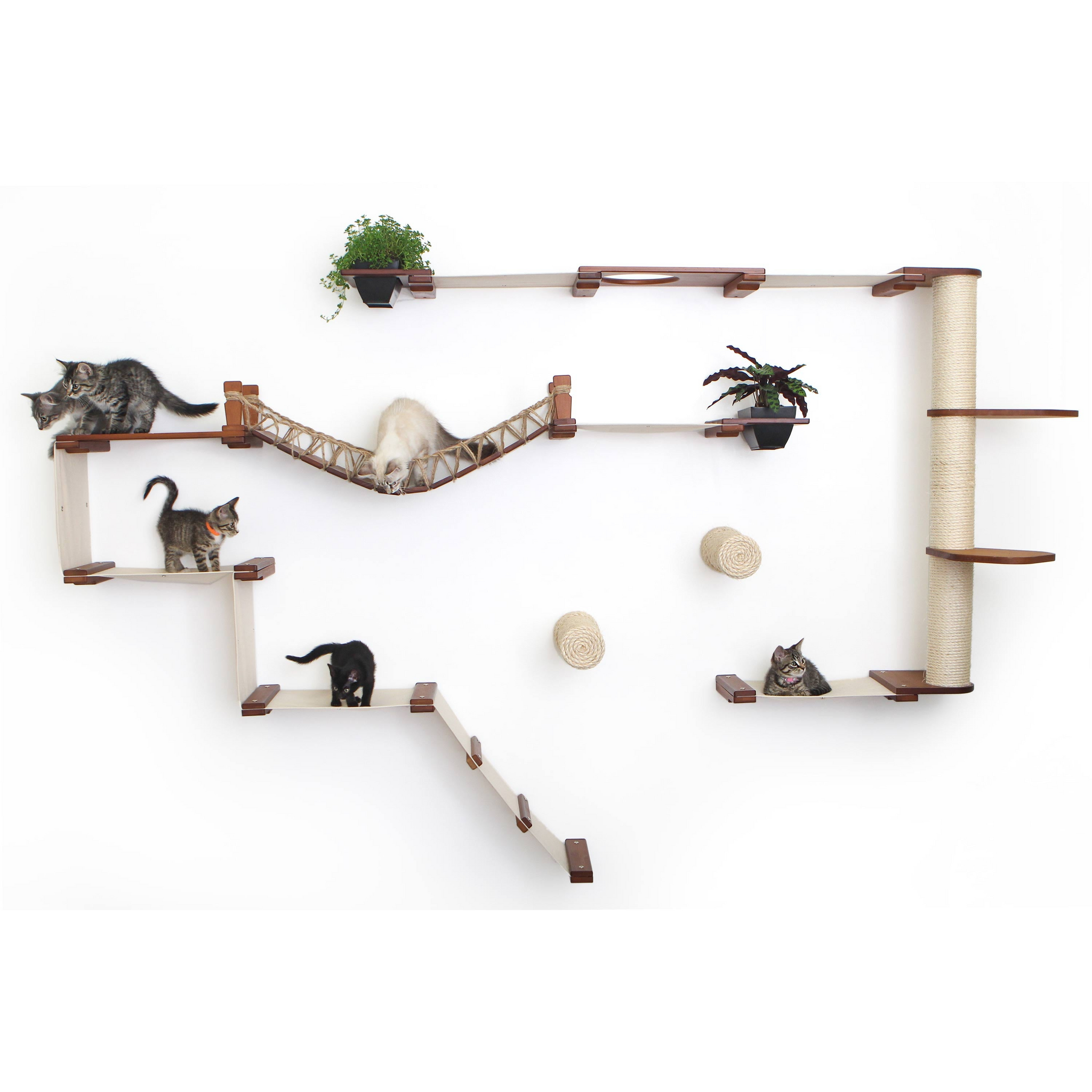 The Juggernaut (Wall-Mounted Cat Tree/Condo) by Catastrophic Creations