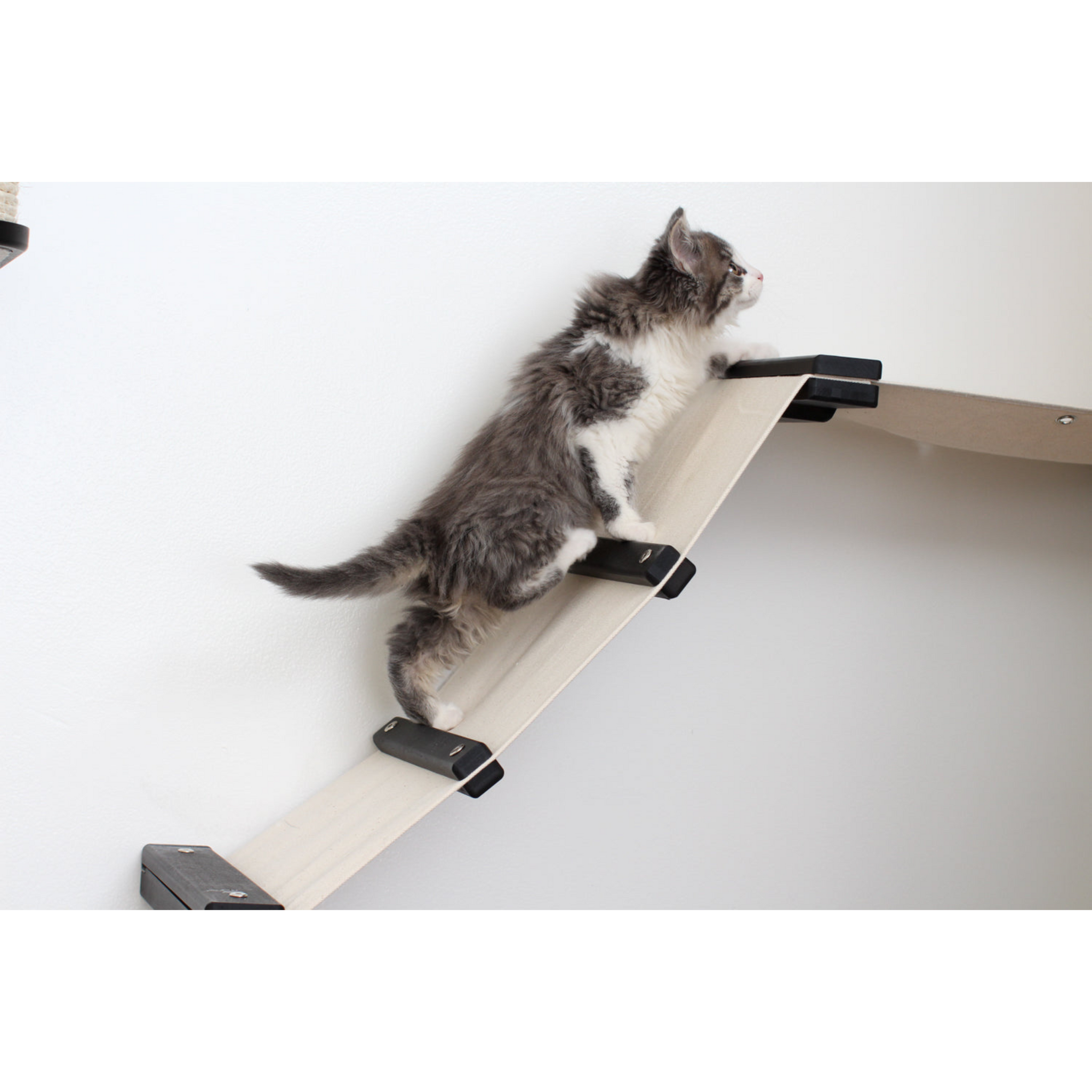 The Lift: Cat Wall Ramp with Hammock Bed by Catastrophic Creations