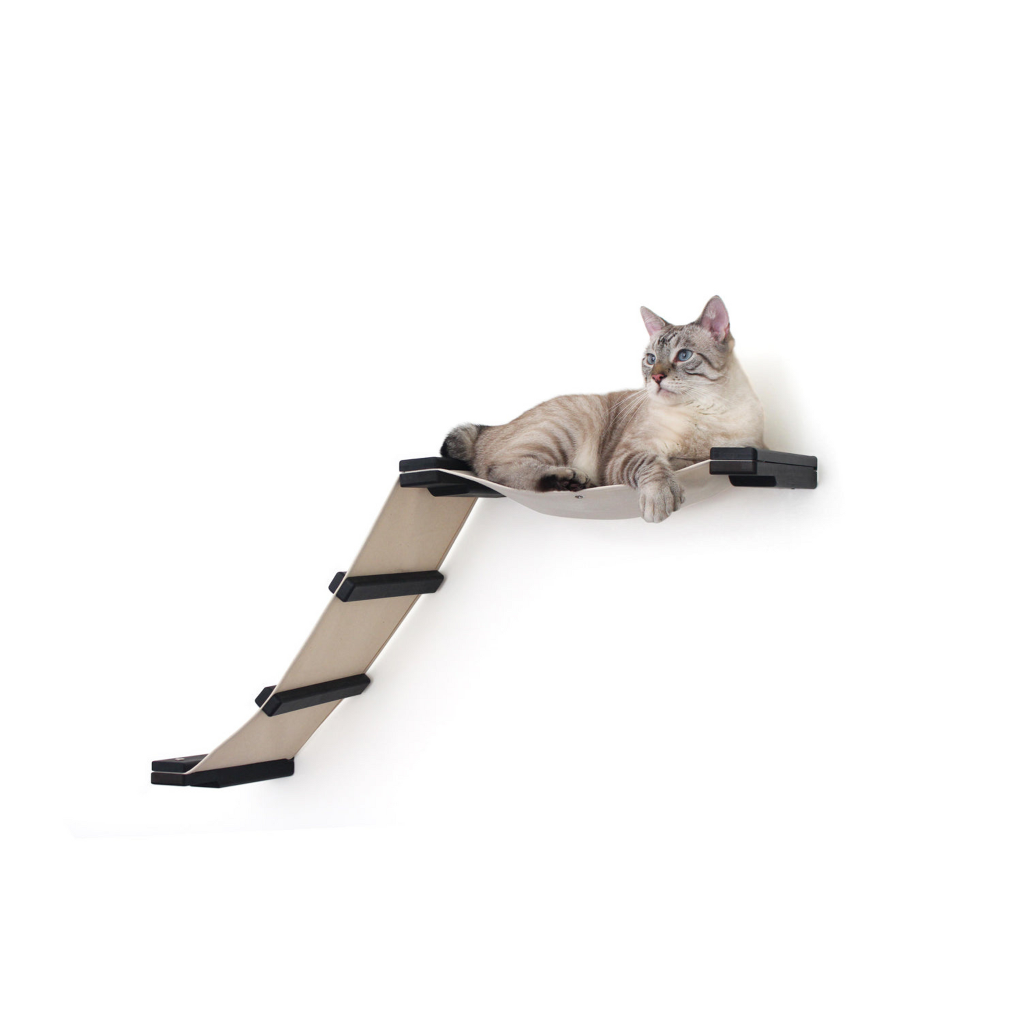 The Lift: Cat Wall Ramp with Hammock Bed by Catastrophic Creations