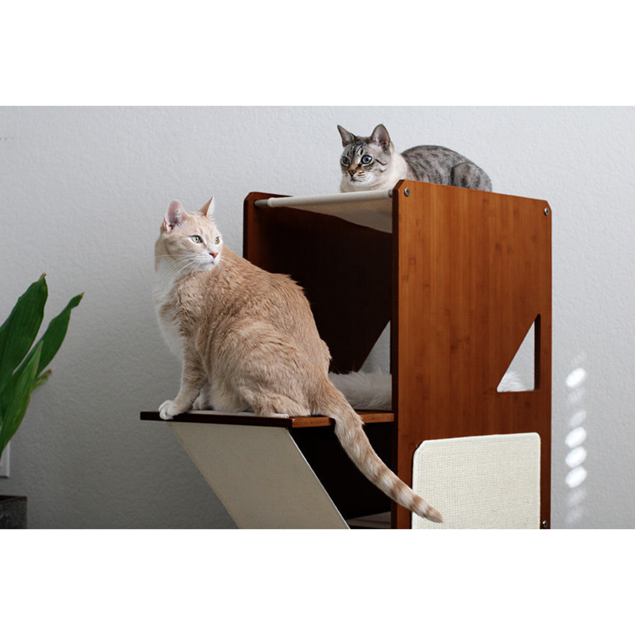 The Overlook - A Stable, Large Cat Tree by Catastrophic Creations