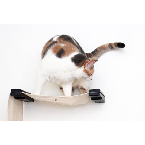 The Play Cat Condo - A Wall-Mounted Cat Tree by Catastrophic Creations