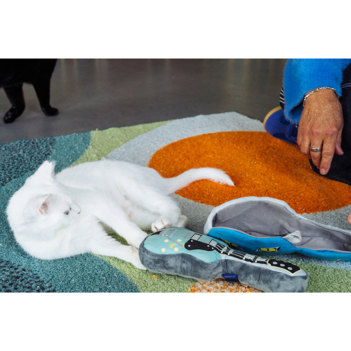 Paquete de colección - Jackson Galaxy x Feline Frenzy