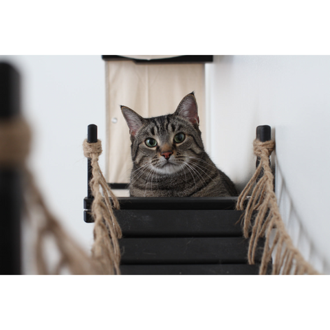 The Temple Cat Tree (Cat Condo For Walls) by Catastrophic Creations