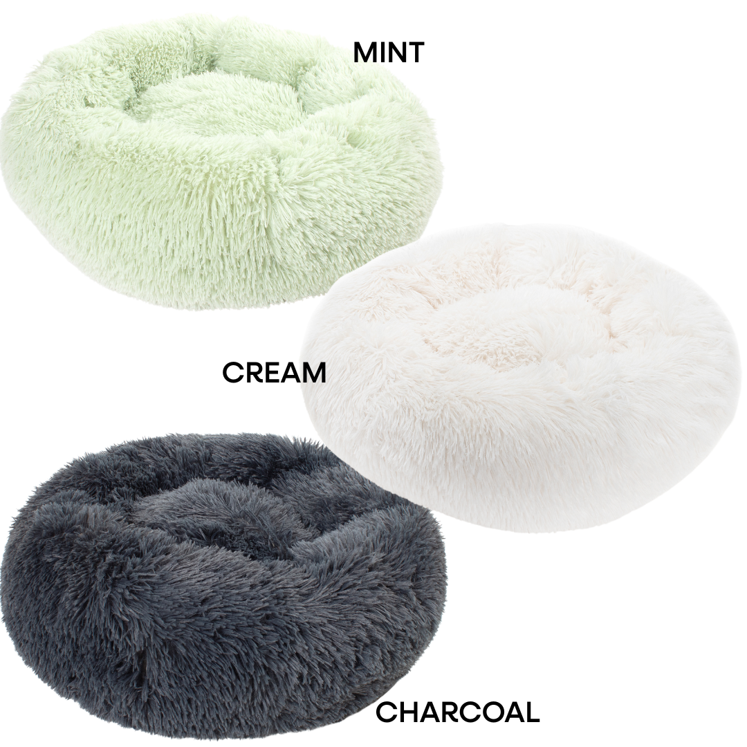 The Wallflower Bundle (For Shy Cats!)
