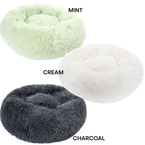The Wallflower Bundle (For Shy Cats!)
