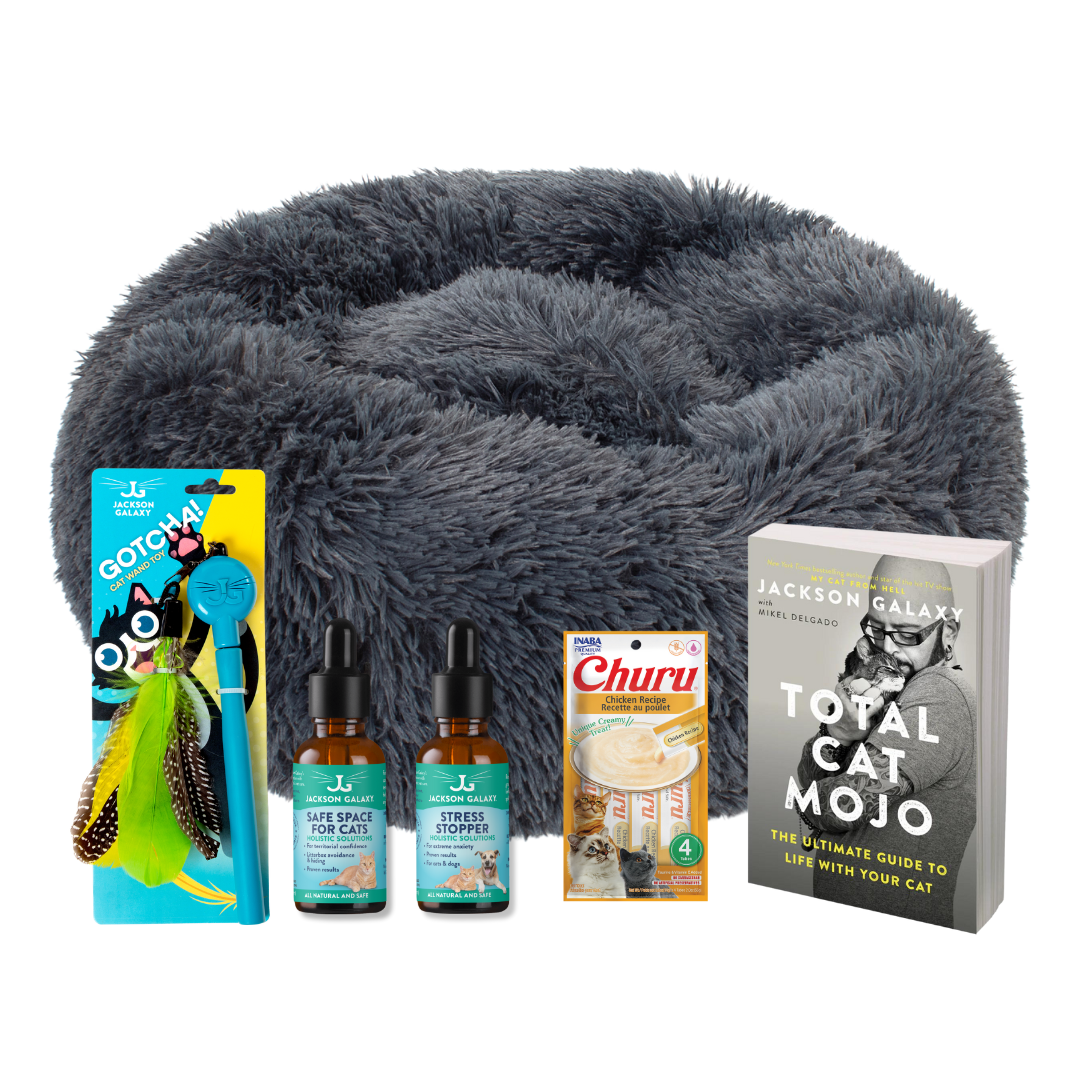 The Wallflower Bundle (For Shy Cats!)