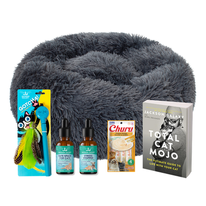 The Wallflower Bundle (For Shy Cats!)