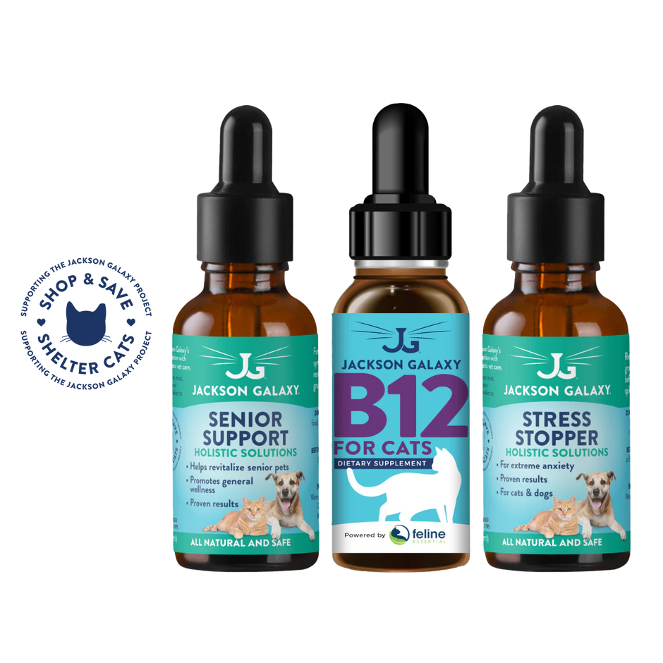 B12 For Cats Dietary Supplement Jackson Galaxy