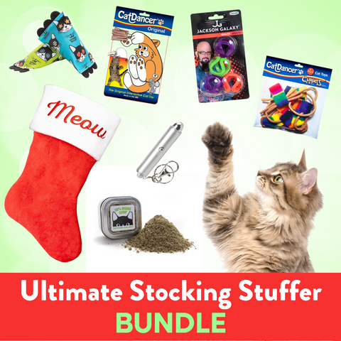 Ultimate Stocking Stuffer Bundle