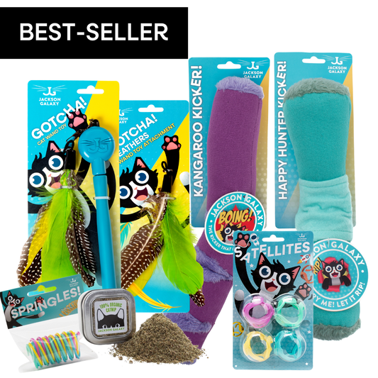 Ultimate Toy Joy Cat Bundle