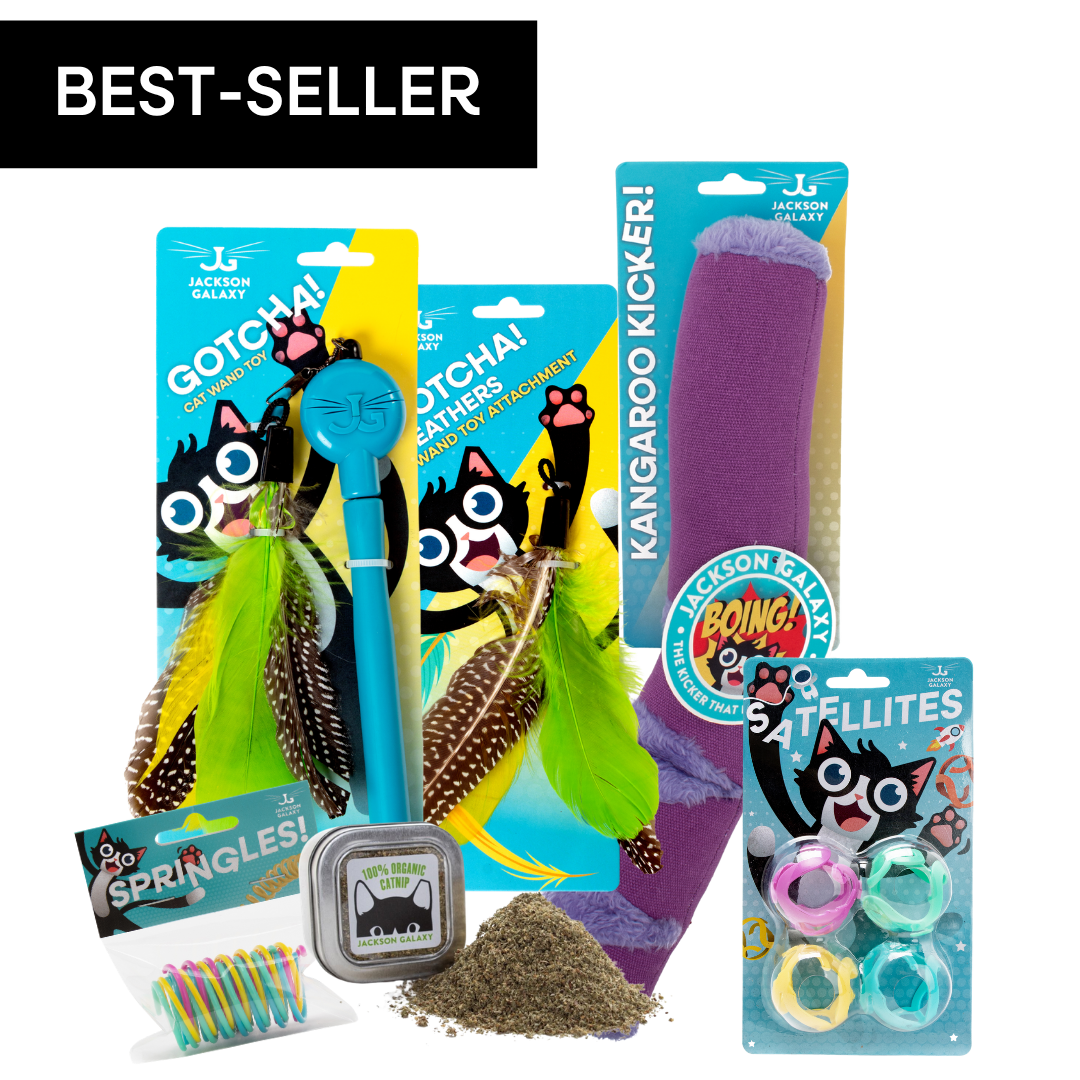 Ultimate Toy Joy Cat Bundle