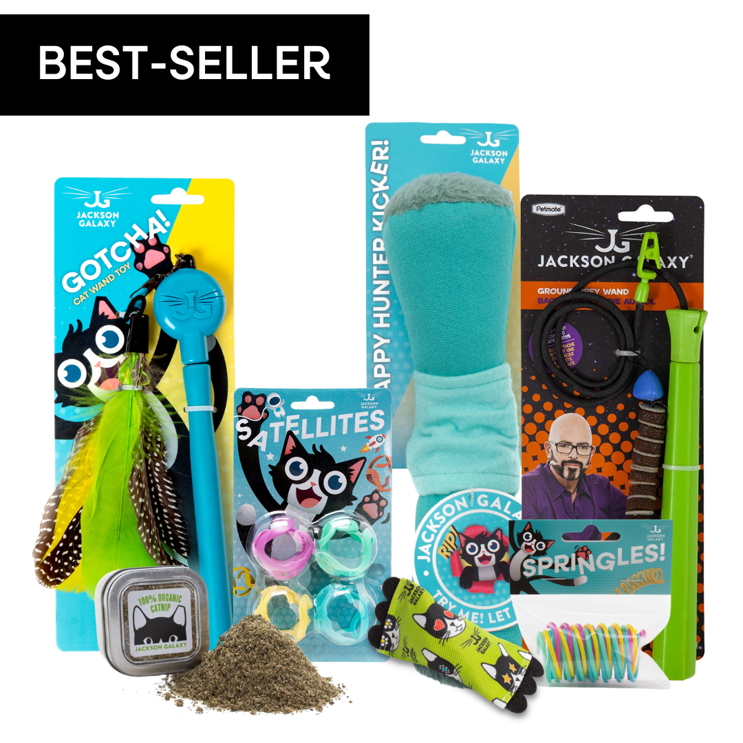 Ultimate Toy Joy Cat Bundle
