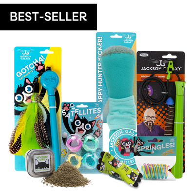 Ultimate Toy Joy Cat Bundle