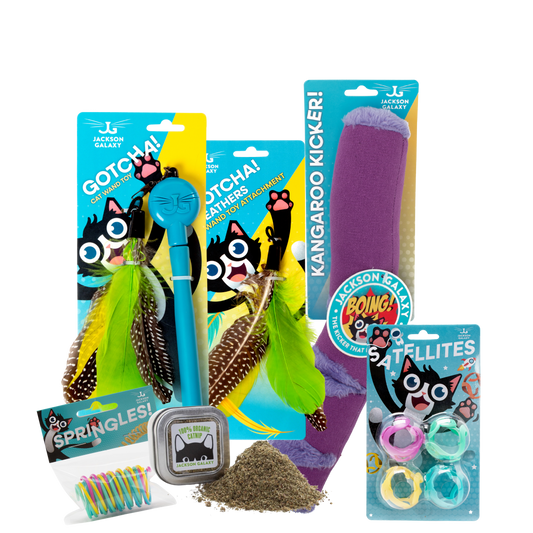 Ultimate Toy Joy Cat Bundle
