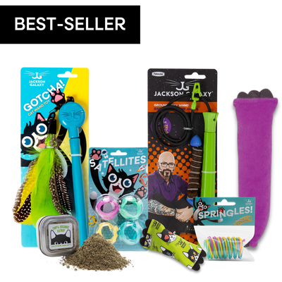 Ultimate Toy Joy Cat Bundle