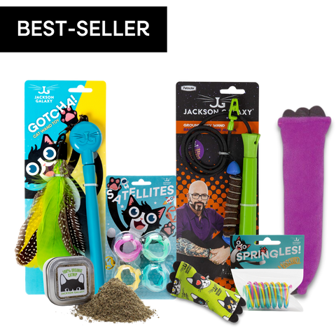 Ultimate Toy Joy Cat Bundle
