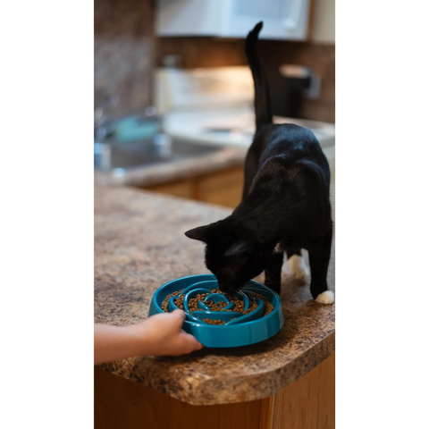 Interactive Slow Feeder by Messy Mutts