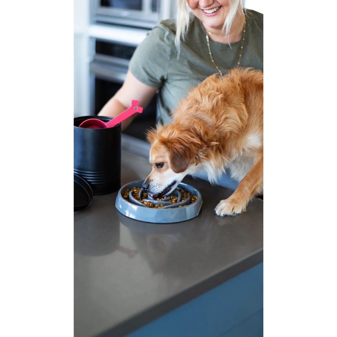 Jackson galaxy slow feeder sale
