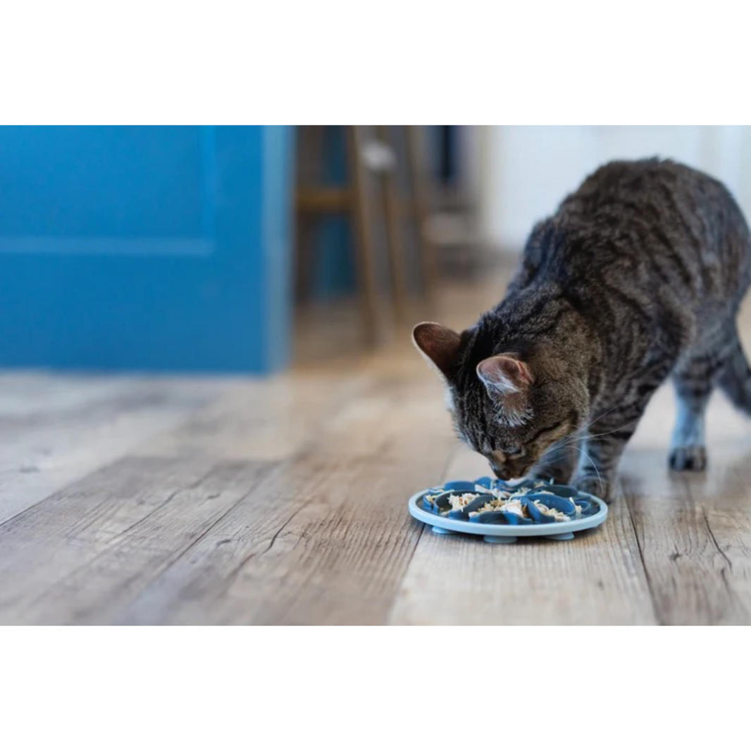 Bowls & Fountains Jackson Galaxy