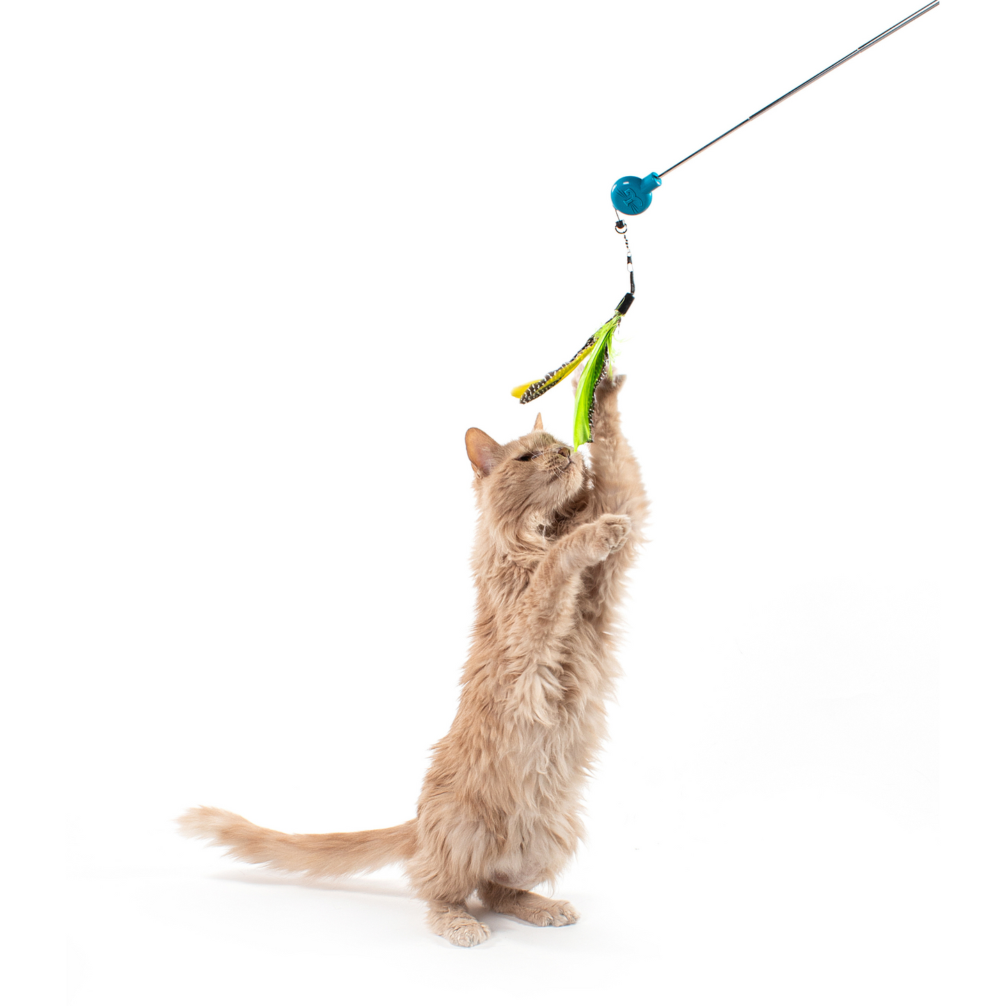 Gotcha! Cat Wand Toy