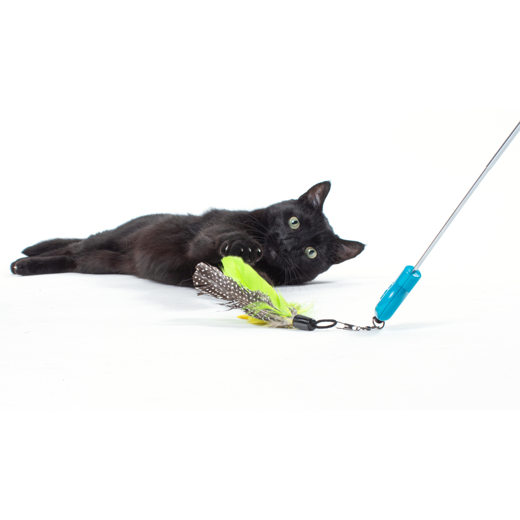 Gotcha! Cat Wand Toy