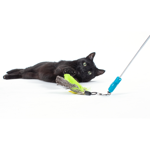 Gotcha! Feather Wand Toy Attachment