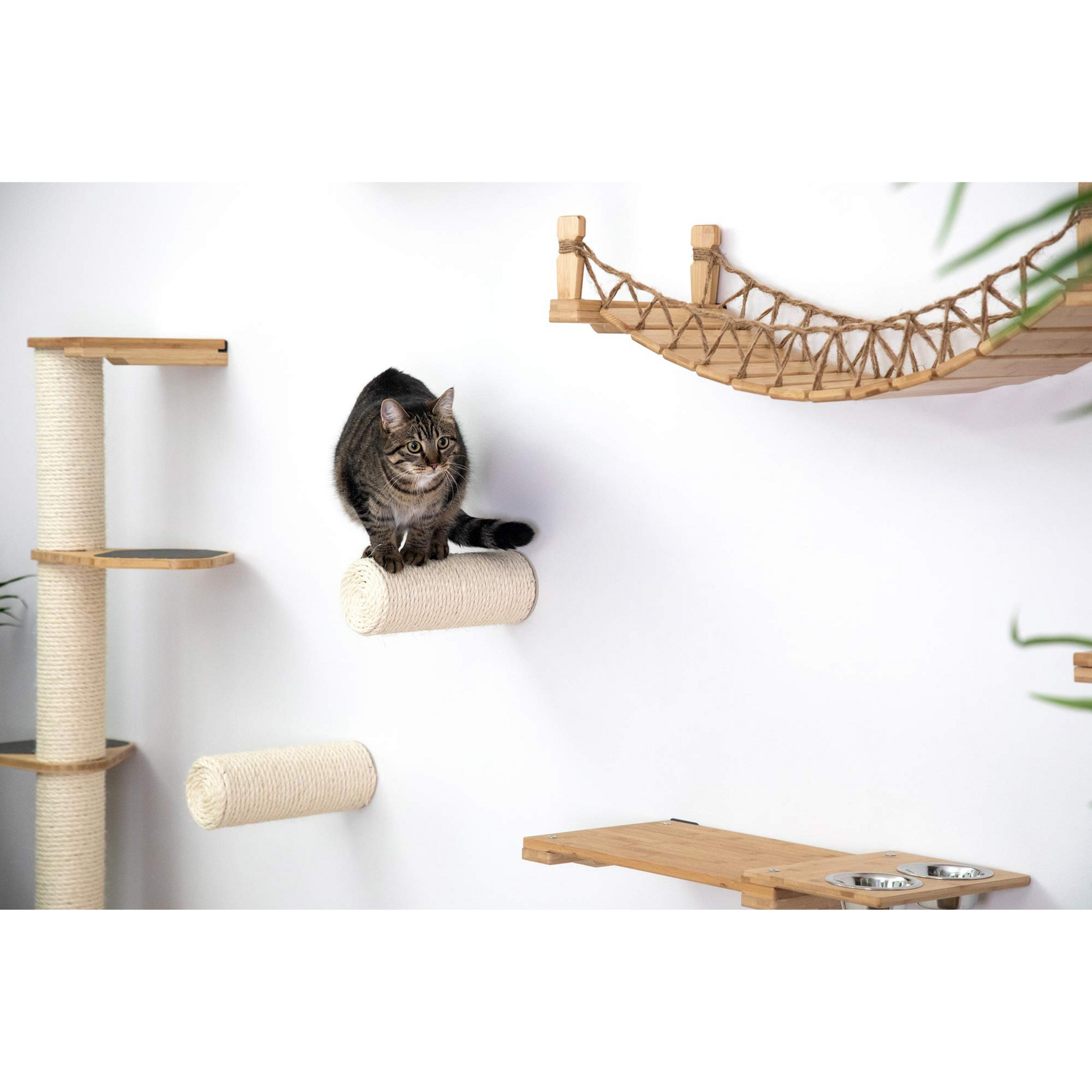 Cat Scratching Post - Floating Cat Steps (For Walls) by Catastrophic Creations