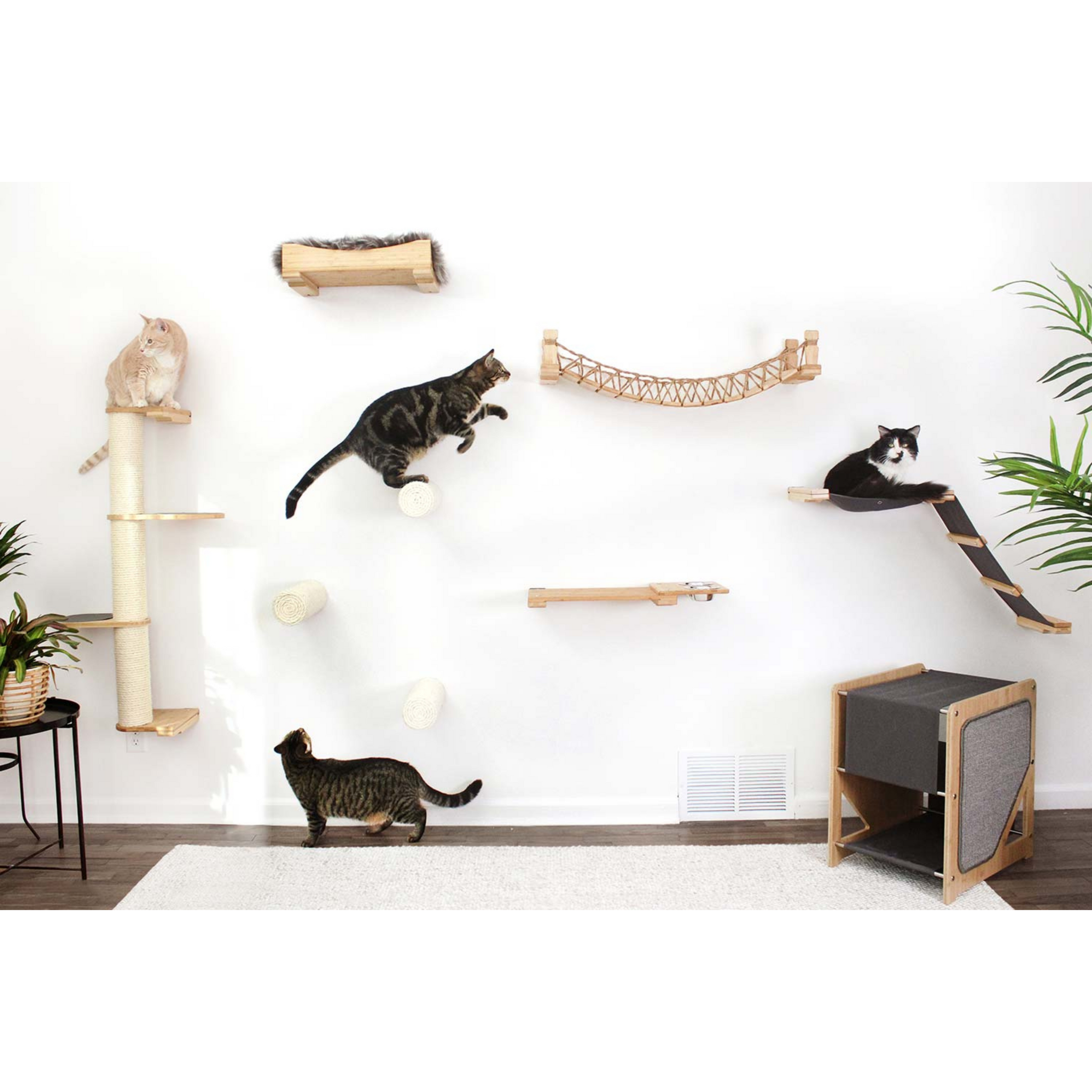 Cat Suspension Bridge - Cat Shelf Set (Wall Mounted) by Catastrophic Creations