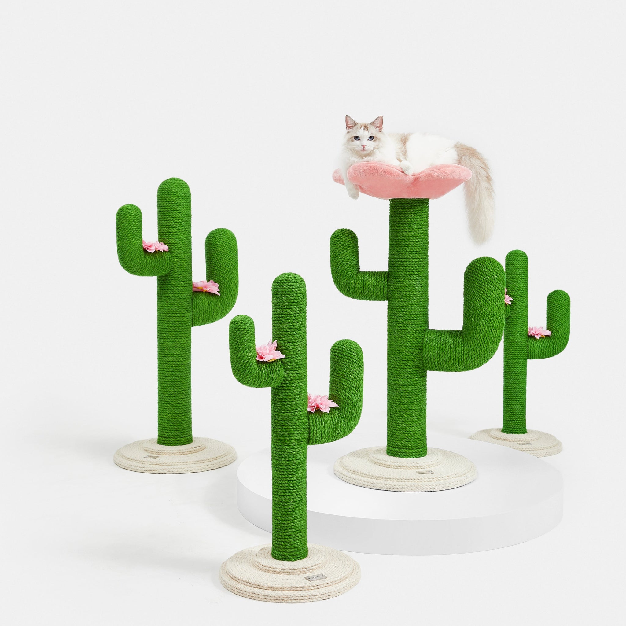 Blooming Cactus Cat Tree by Vetreska