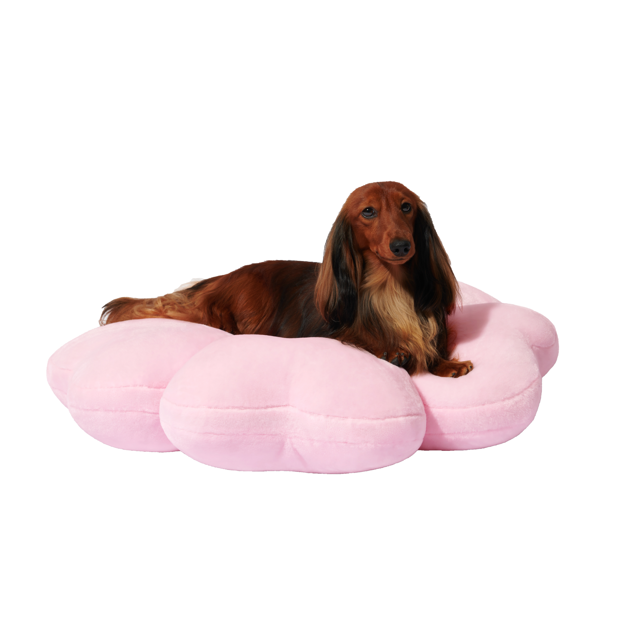 Cherry Blossom Pet Bed by Vetreska