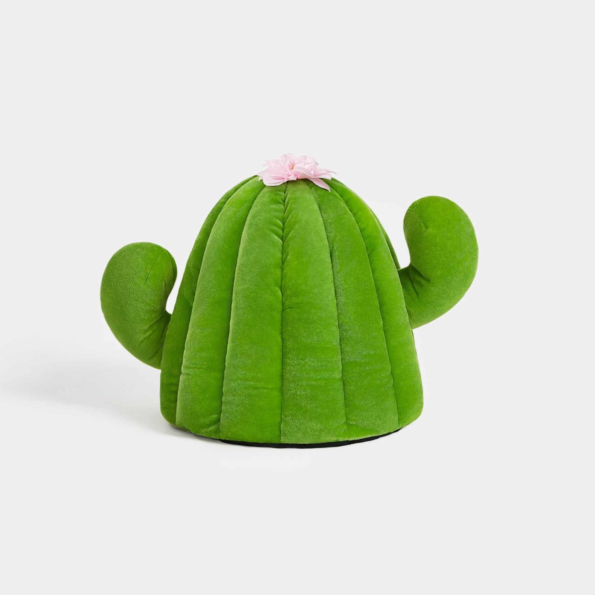 Oasis Cactus Pet Bed by Vetreska