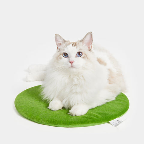 Oasis Cactus Pet Bed by Vetreska