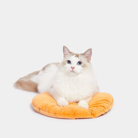 Tangerine Rattan Pet Bed by Vetreska