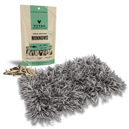 Your Cat's Nose Knows Bundle