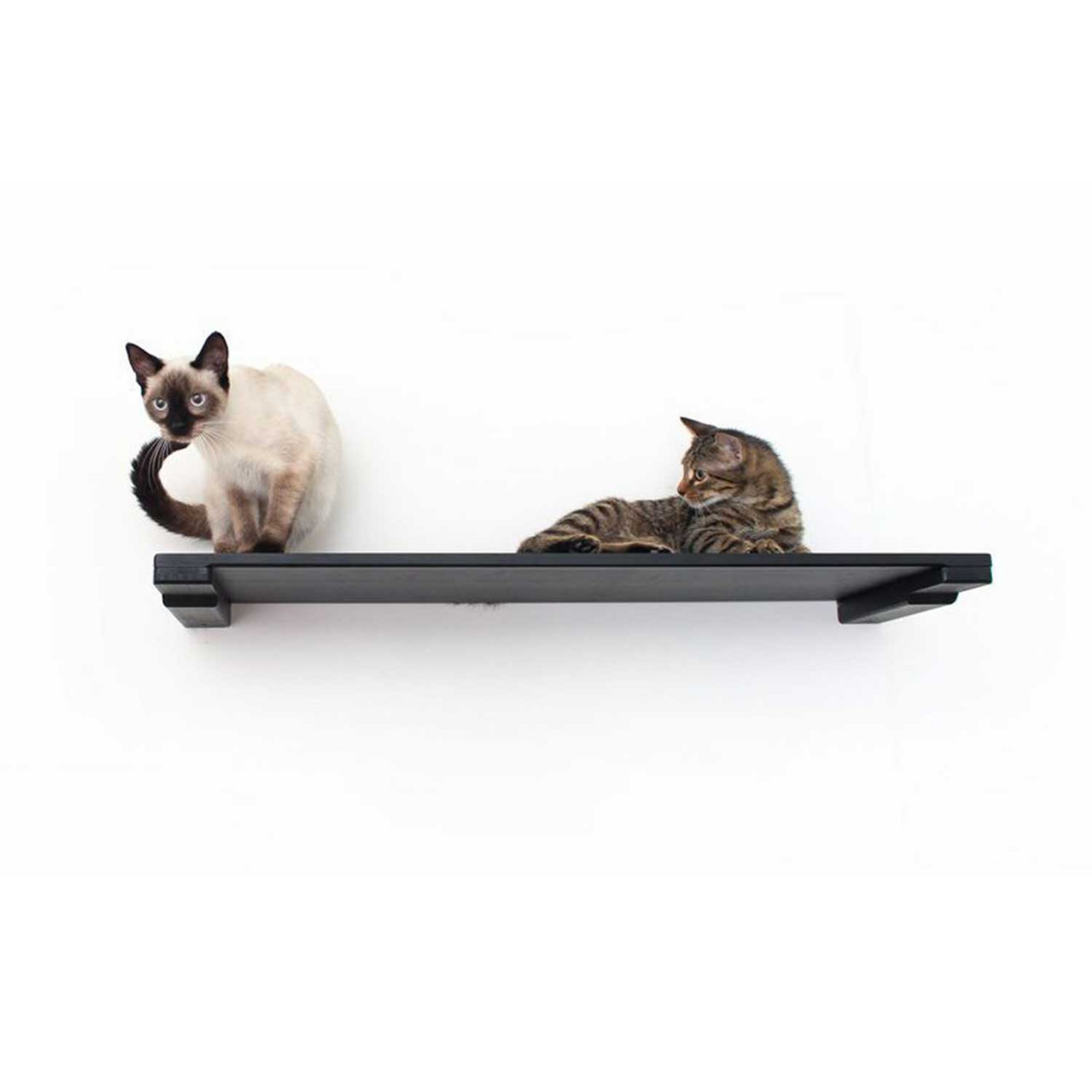 Cat wall mounted bed online