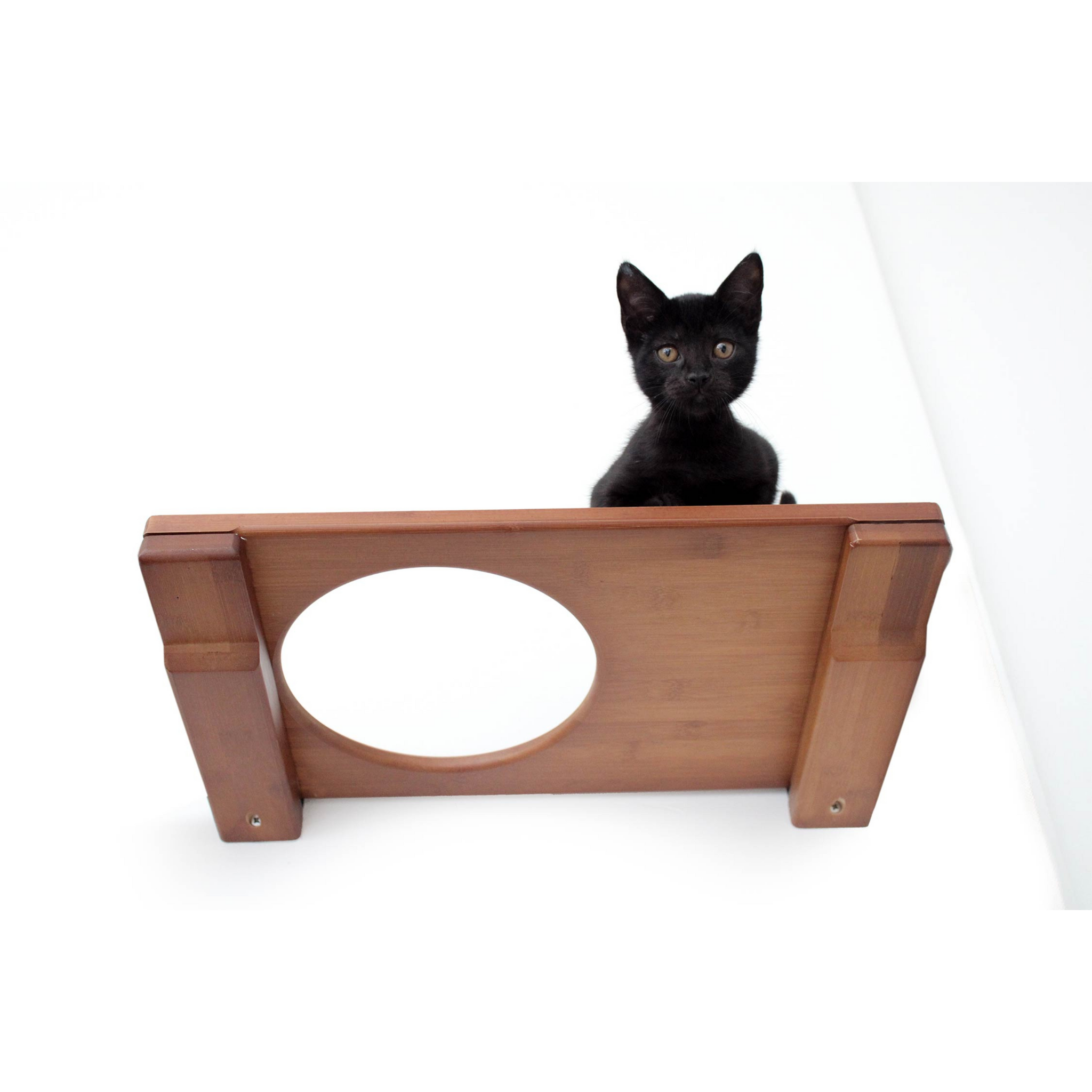 Wall-Mounted Cat Shelf by Catastrophic Creations