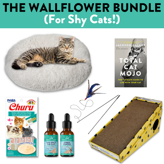 The Wallflower Bundle (For Shy Cats!)