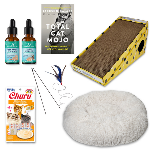 The Wallflower Bundle (For Shy Cats!)