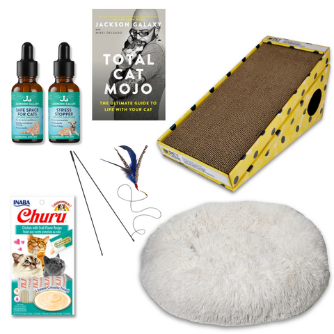 The Wallflower Bundle (For Shy Cats!)