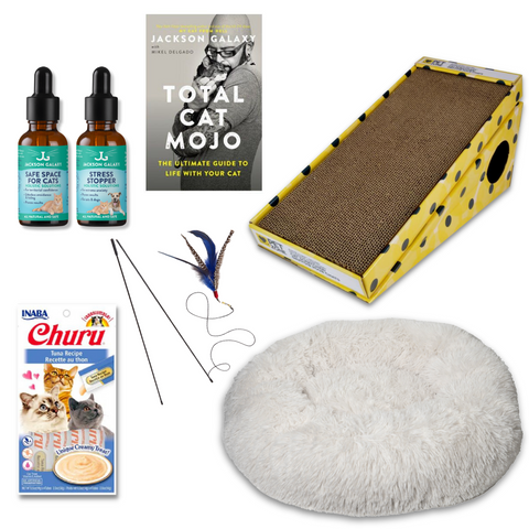 The Wallflower Bundle (For Shy Cats!)