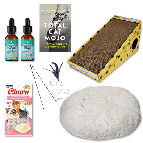 The Wallflower Bundle (For Shy Cats!)