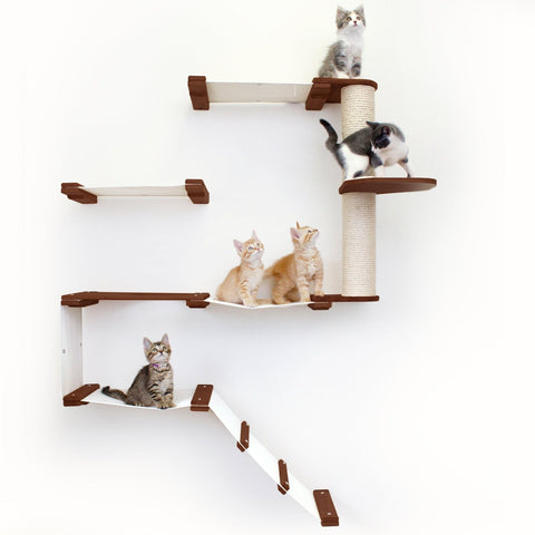The Deluxe Fort - Modern Cat Condo (Wall Hanging Cat Tree) by Catastrophic Creations