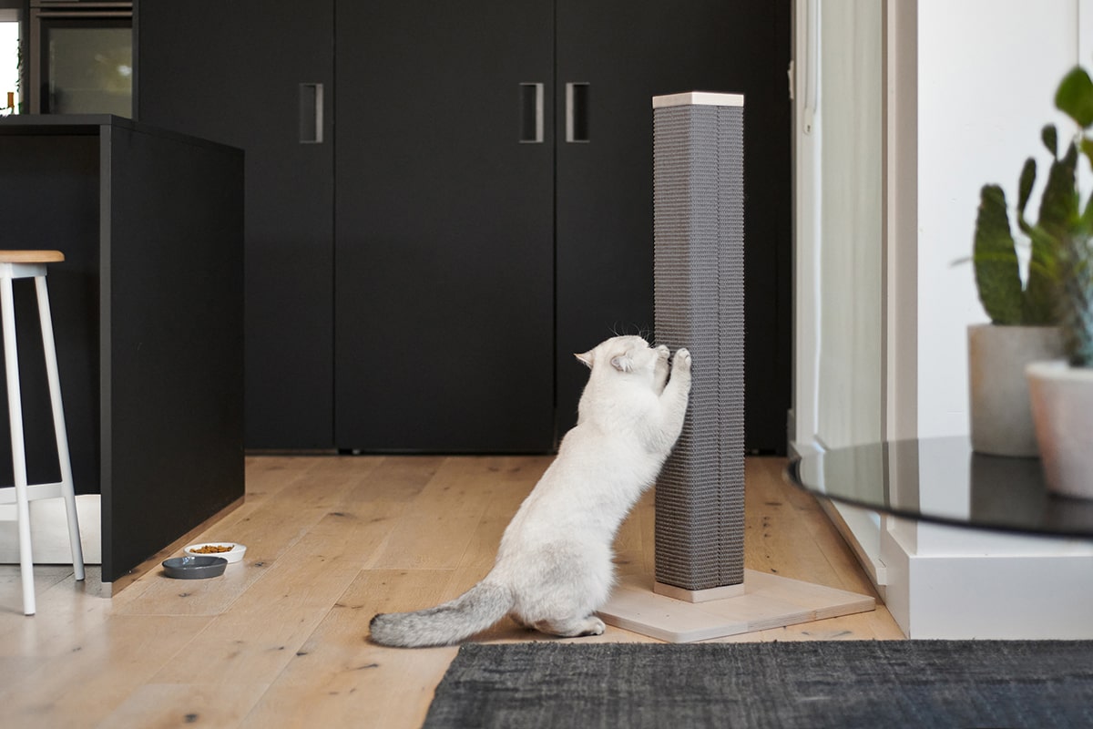 Zip Scratching Post