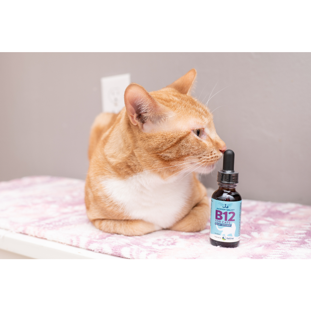 B12 For Cats Dietary Supplement