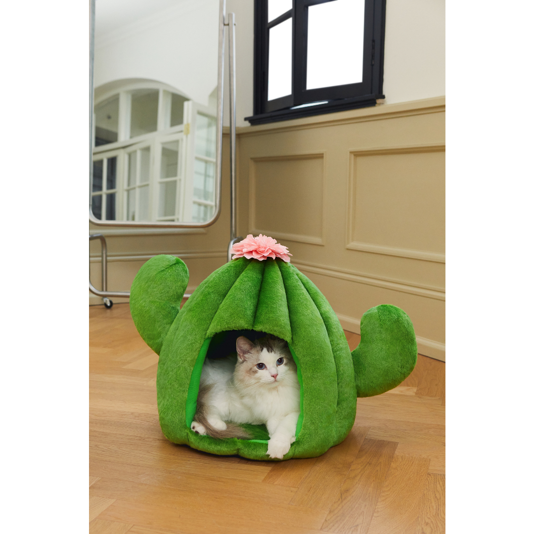 Oasis Cactus Pet Bed by Vetreska