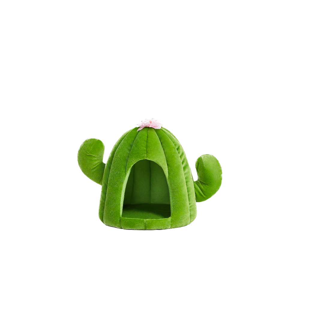 Oasis Cactus Pet Bed by Vetreska